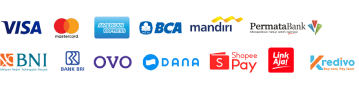 vonvistaglobal payment method